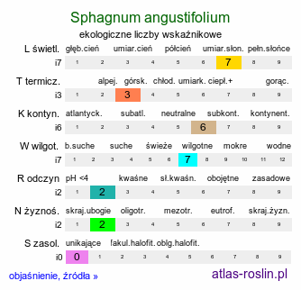 ekologiczne liczby wskaźnikowe Sphagnum angustifolium (torfowiec wąskolistny)