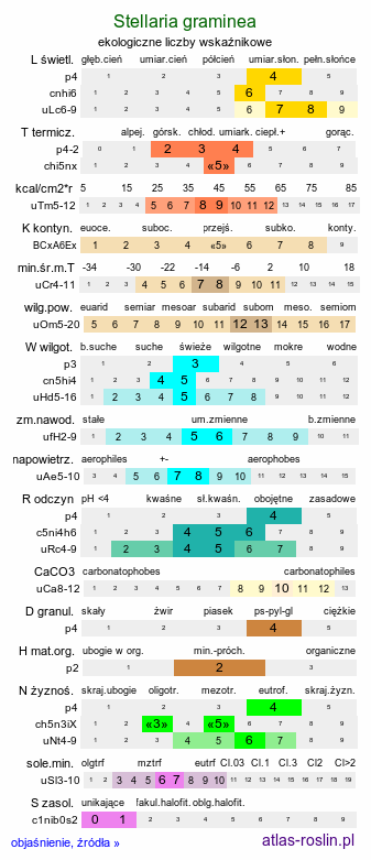 ekologiczne liczby wskaźnikowe Stellaria graminea (gwiazdnica trawiasta)