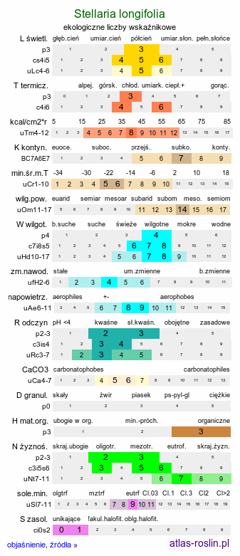 ekologiczne liczby wskaźnikowe Stellaria longifolia (gwiazdnica długolistna)