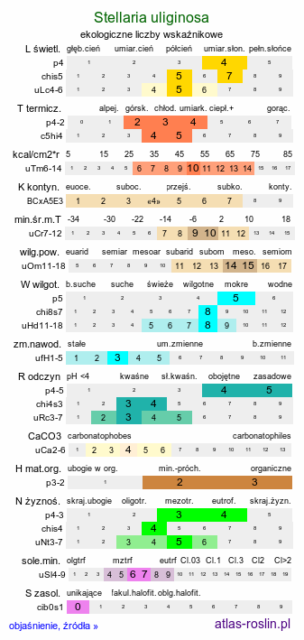 ekologiczne liczby wskaźnikowe Stellaria uliginosa (gwiazdnica bagienna)