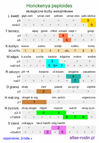 ekologiczne liczby wskaźnikowe Honckenya peploides (honkenia piaskowa)