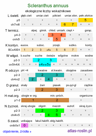 ekologiczne liczby wskaźnikowe Scleranthus annuus (czerwiec roczny)