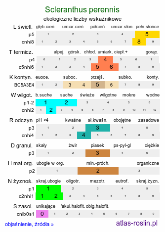 ekologiczne liczby wskaźnikowe Scleranthus perennis (czerwiec trwały)