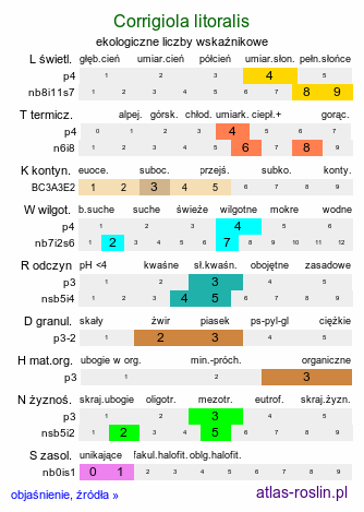 ekologiczne liczby wskaźnikowe Corrigiola litoralis (nabrzeżyca nadrzeczna)