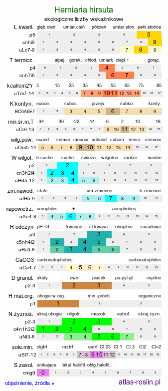 ekologiczne liczby wskaźnikowe Herniaria hirsuta (połonicznik kosmaty)