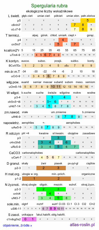 ekologiczne liczby wskaźnikowe Spergularia rubra (muchotrzew polny)