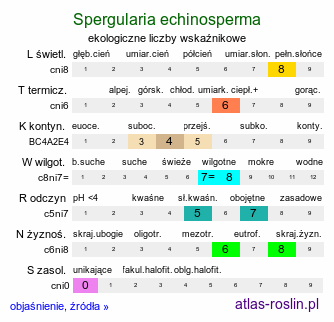 ekologiczne liczby wskaźnikowe Spergularia echinosperma (muchotrzew wiślany)
