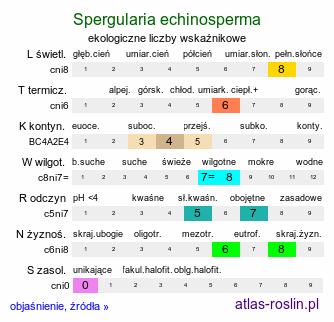 ekologiczne liczby wskaźnikowe Spergularia echinosperma (muchotrzew wiślany)