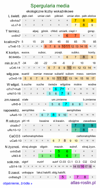 ekologiczne liczby wskaźnikowe Spergularia media (muchotrzew trwały)