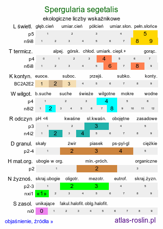 ekologiczne liczby wskaźnikowe Spergularia segetalis (muchotrzew zbożowy)