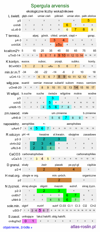 ekologiczne liczby wskaźnikowe Spergula arvensis (sporek polny)