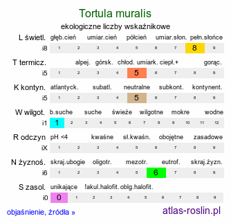 ekologiczne liczby wskaźnikowe Tortula muralis (brodek murowy)