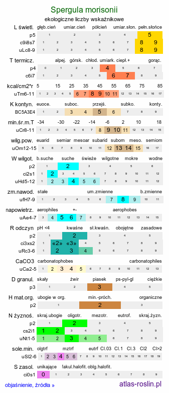 ekologiczne liczby wskaźnikowe Spergula morisonii (sporek wiosenny)