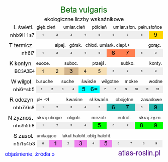 ekologiczne liczby wskaźnikowe Beta vulgaris (burak zwyczajny)