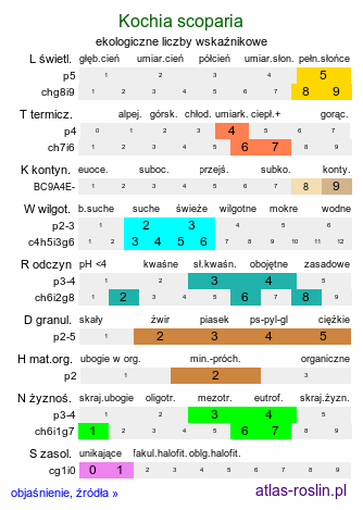 ekologiczne liczby wskaźnikowe Kochia scoparia (mietelnik żakula)