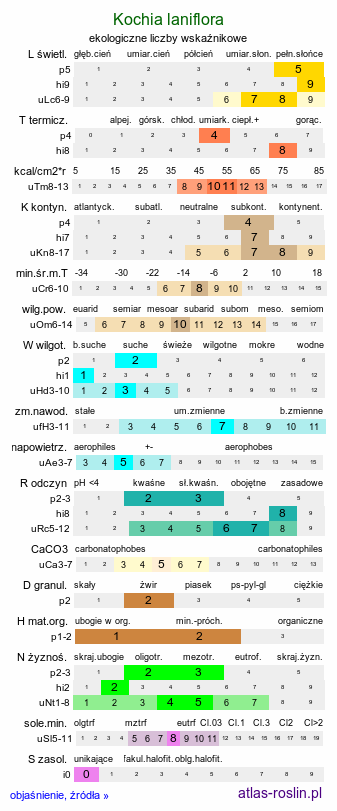 ekologiczne liczby wskaźnikowe Kochia laniflora (mietelnik piaskowy)
