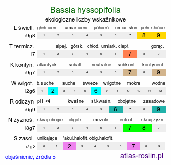 ekologiczne liczby wskaźnikowe Bassia hyssopifolia