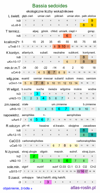 ekologiczne liczby wskaźnikowe Bassia sedoides