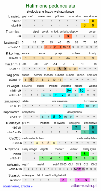 ekologiczne liczby wskaźnikowe Halimione pedunculata (obione szypułkowa)