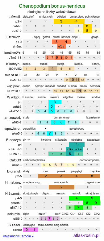 ekologiczne liczby wskaźnikowe Chenopodium bonus-henricus (komosa strzałkowata)