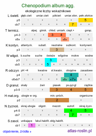 ekologiczne liczby wskaźnikowe Chenopodium album agg. (komosa biała (agg.))