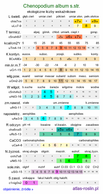 ekologiczne liczby wskaźnikowe Chenopodium album s.str. (komosa biała s.str.)