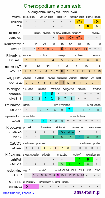 ekologiczne liczby wskaźnikowe Chenopodium album s.str. (komosa biała (s.str.))