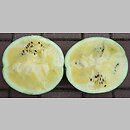 Citrullus lanatus cv. Janosik (arbuz odm. Janosik)