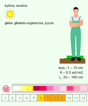 wymagania uprawowe Nymphaea (grzybienie)