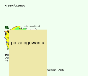 wymagania uprawowe Zanthoxylum simulans (żółtodrzew chiński)