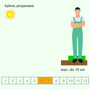 wymagania uprawowe Satureja parnassica