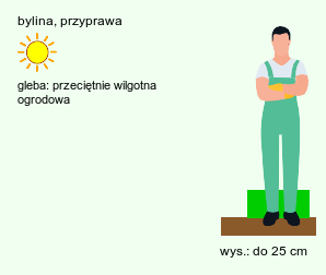 wymagania uprawowe Satureja spicigera