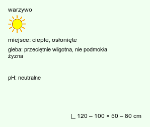 wymagania uprawowe Cucumis melo (ogórek melon)