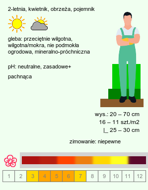 wymagania uprawowe Cheiranthus cheiri (lak pospolity)