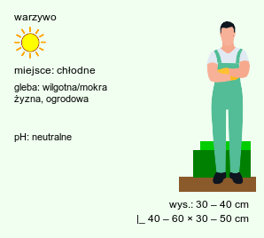 wymagania uprawowe Brassica pekinensis (kapusta pekińska)