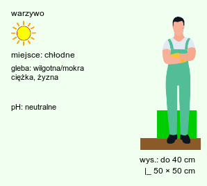 wymagania uprawowe Brassica oleracea var. italica (kapusta warzywna brokuł)