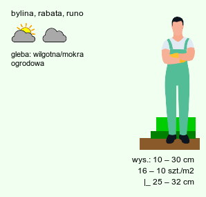 wymagania uprawowe Cardamine trifolia (rzeżucha trójlistkowa)