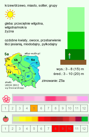 wymagania uprawowe Malus (jabłoń)