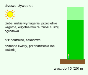 wymagania uprawowe Pyrus pyraster (grusza polna)