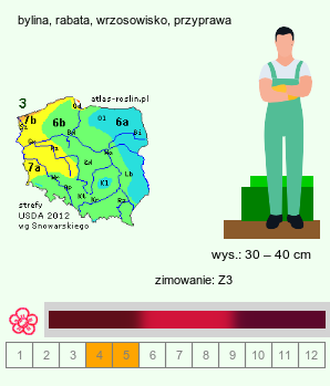 wymagania uprawowe Geum rivale (kuklik zwisły)