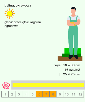 wymagania uprawowe Potentilla reptans (pięciornik rozłogowy)