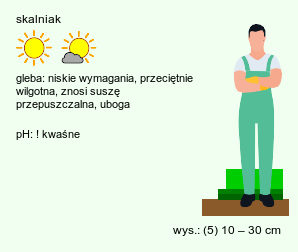 wymagania uprawowe Genistella sagittalis (janowczyk skrzydlaty)