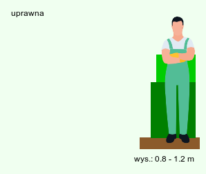 wymagania uprawowe Linum usitatissimum (len zwyczajny)