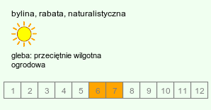 wymagania uprawowe Anthriscus sylvestris (trybula leśna)