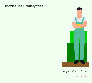 wymagania uprawowe Consolida regalis (ostróżeczka polna)