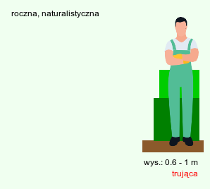 wymagania uprawowe Consolida regalis (ostróżeczka polna)