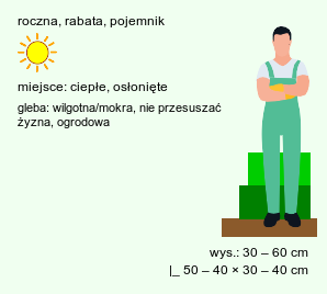 wymagania uprawowe Capsicum annuum (papryka roczna)