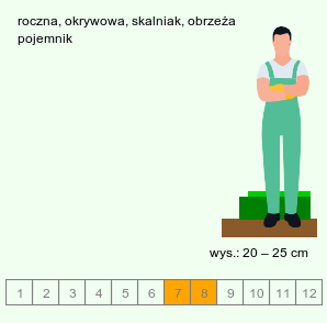 wymagania uprawowe Coleostephus multicaulis (złotokwiat wielołodygowy)