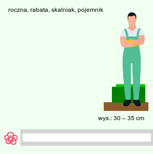 wymagania uprawowe Melampodium leucanthum