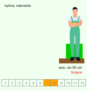wymagania uprawowe Tanacetum vulgare (wrotycz pospolity)